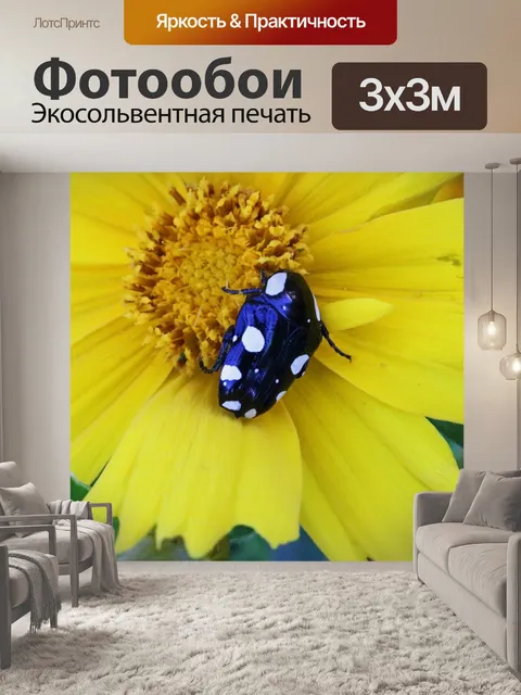 Фотообои Жакет с белыми пятнами