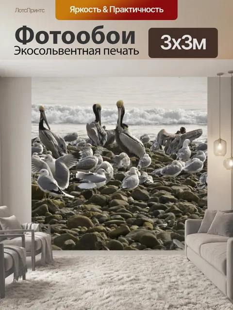 Фотообои Пеликаны и Чайки