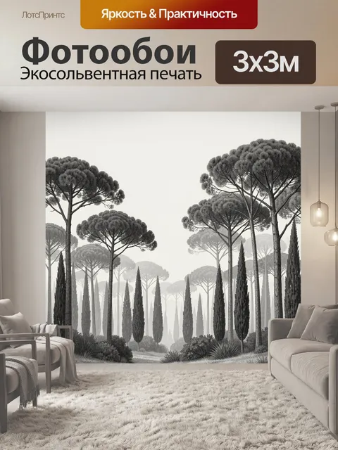 Фотообои Туманный лес с высокими соснами