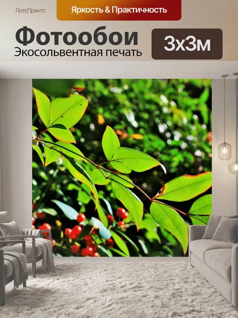 Фотообои Полупрозрачные листья