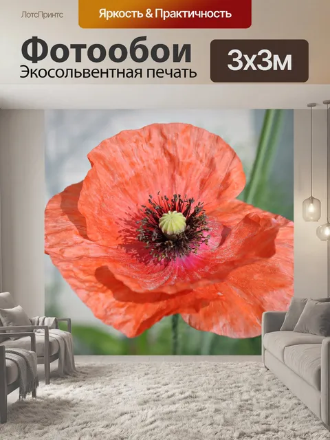 Фотообои Мак