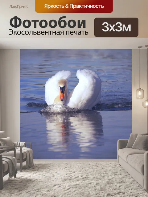 Фотообои Лебедь, отражающая гордость птицы