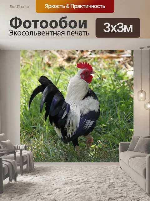 Фотообои Старый английский игры Bantam Петух