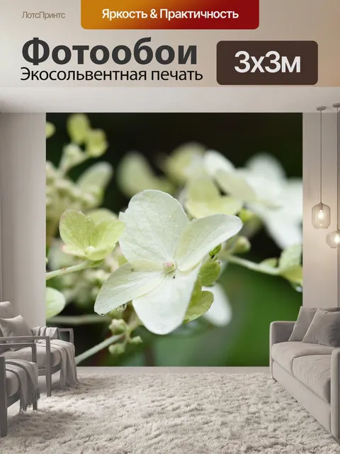 Фотообои Белый