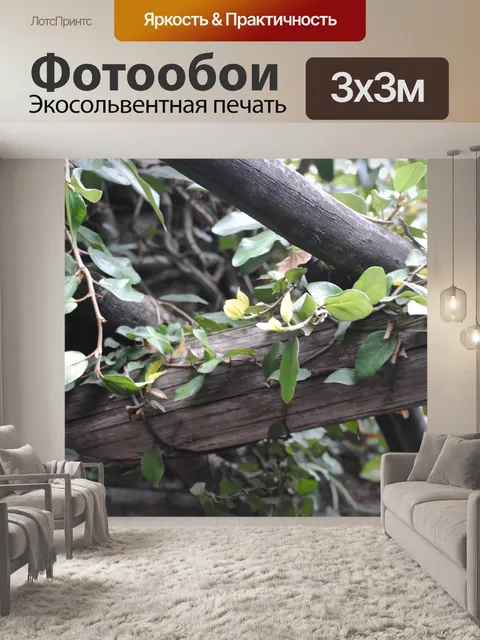 Фотообои Лоза