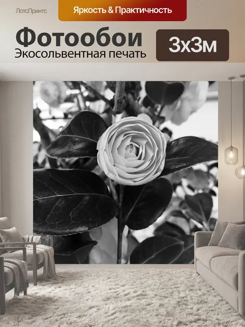 Фотообои Черно-белый