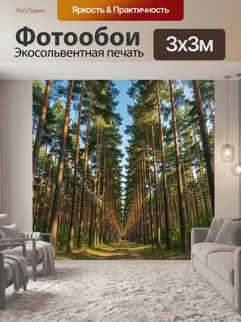 Фотообои Сосновый лес с грунтовой дорогой