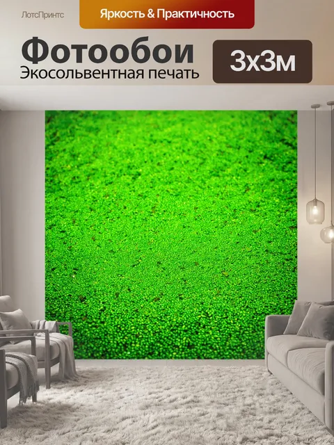 Фотообои зеленые в стиле текстуры с разбросанными семенами на земле, создающими вид садового участка