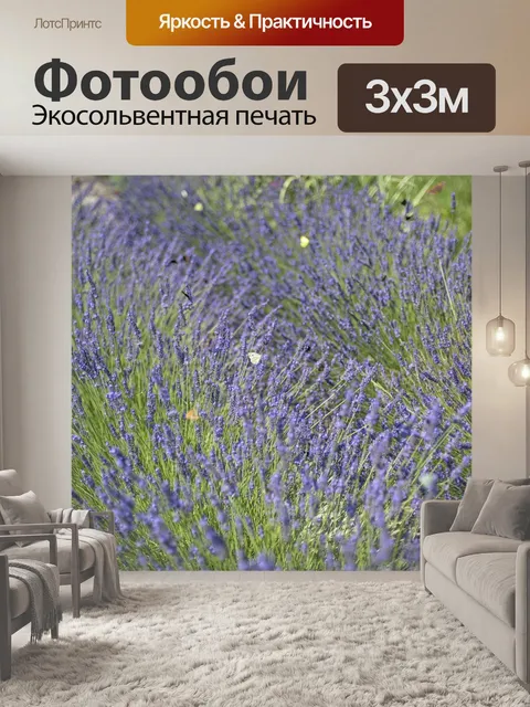 Фотообои Лаванда