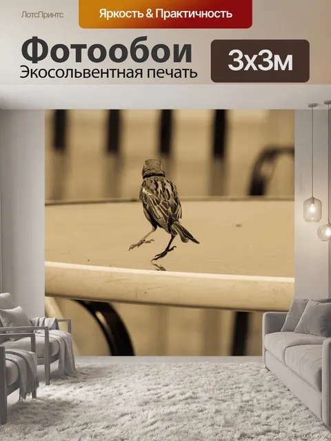 Фотообои Птица
