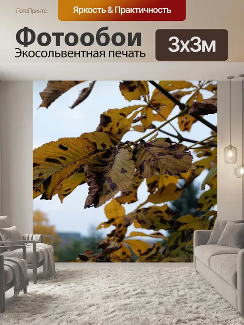 Фотообои Каштан