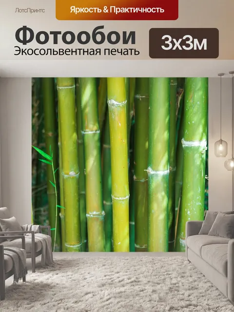 Фотообои Бамбуковый лес
