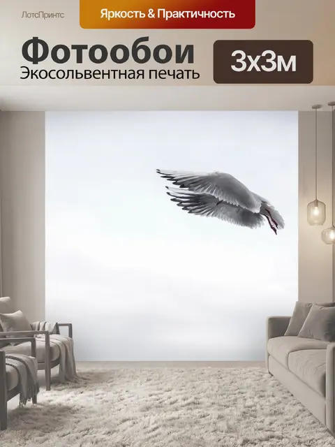 Фотообои Чайка