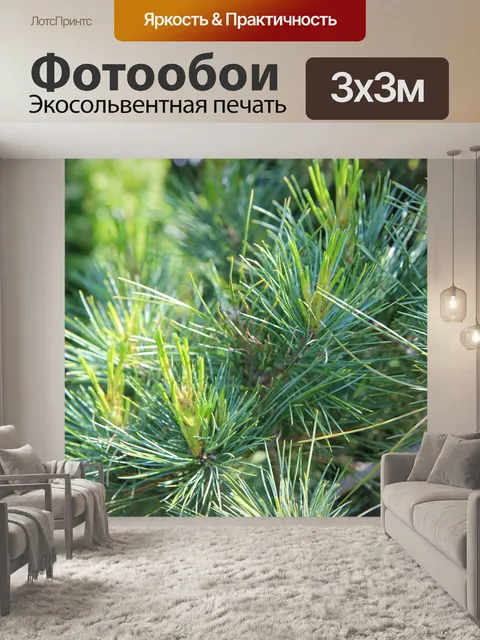 Фотообои Сосна