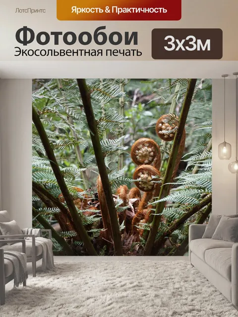 Фотообои Папоротник