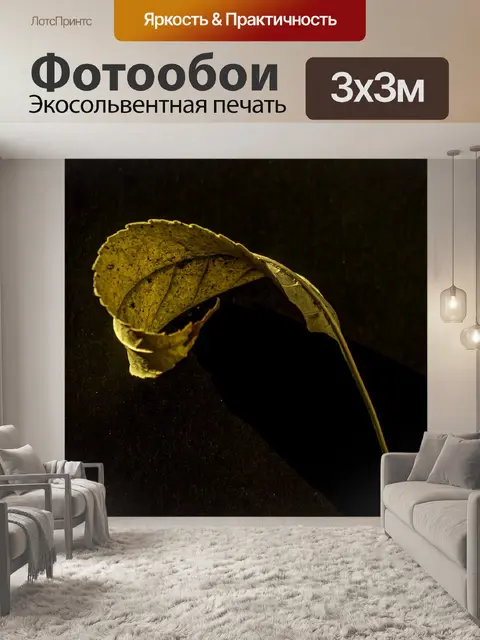 Фотообои Лист