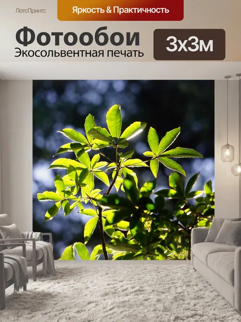 Фотообои Листья