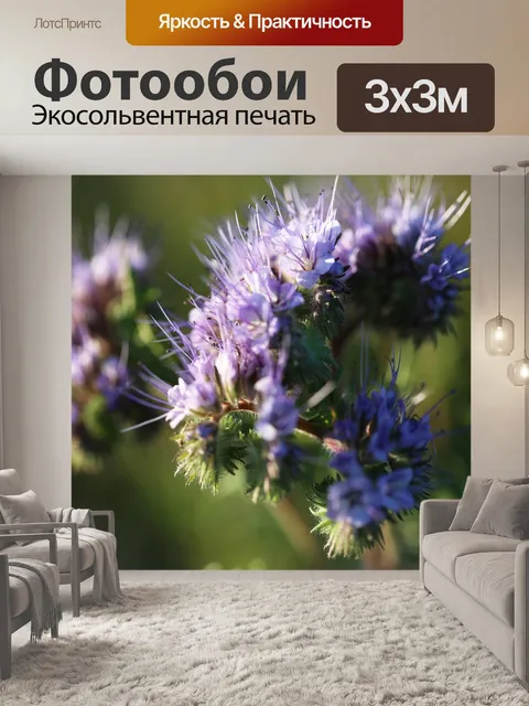 Фотообои Завод