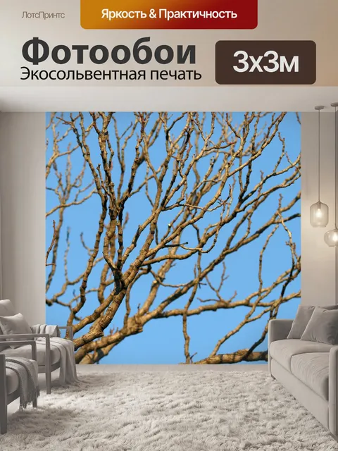 Фотообои сухие ветви дерева