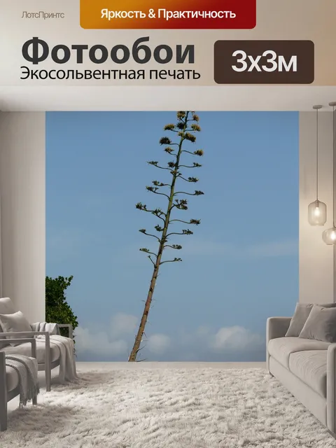 Фотообои Агава
