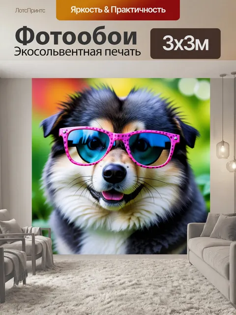Фотообои ежик в очках на улице