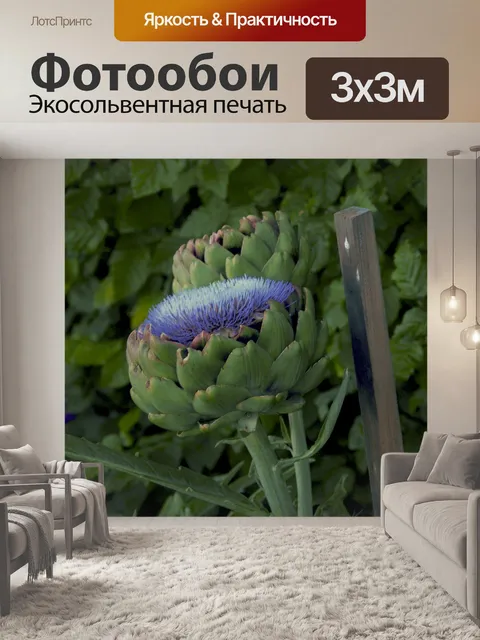 Фотообои Артишок