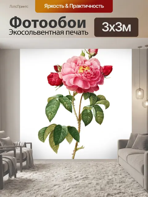 Фотообои Роза цветок старинная картина
