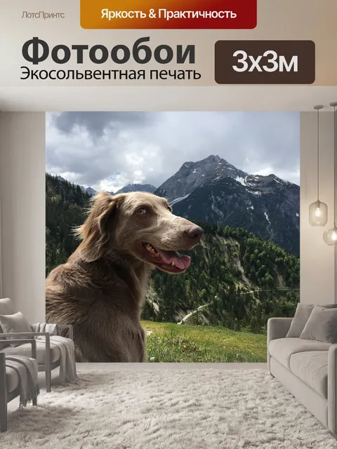 Фотообои Горы