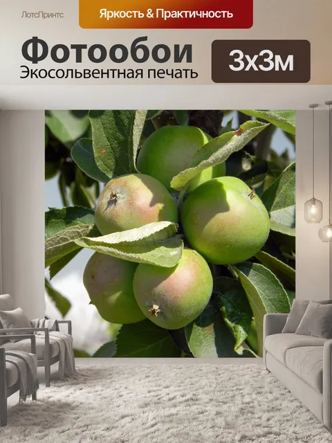 Фотообои Яблоня