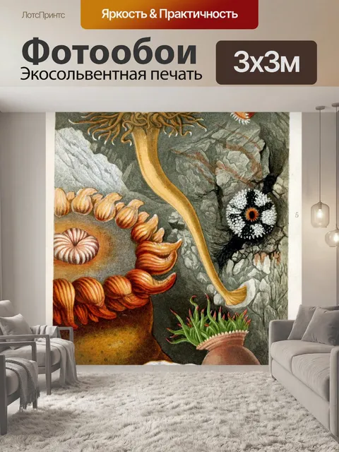 Фотообои Коралловые анемоны океанского рифа