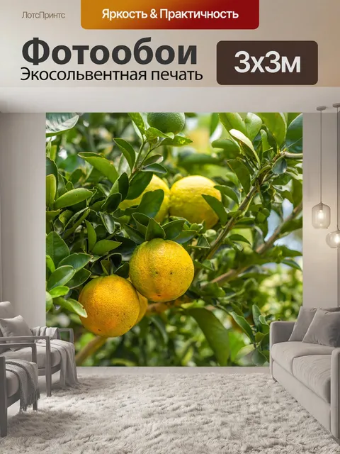 Фотообои Апельсины