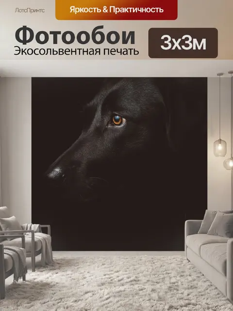 Фотообои Темный