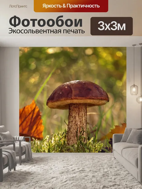 Фотообои Грибы съедобные лесные