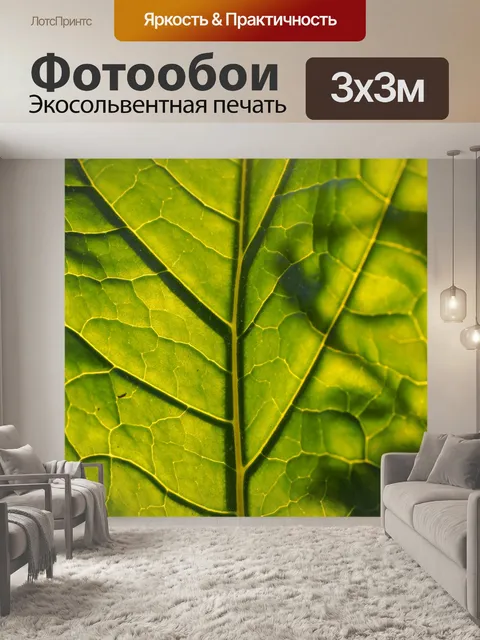 Фотообои Лист