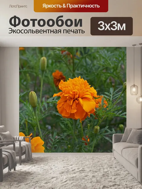Фотообои Оранжевый календулы