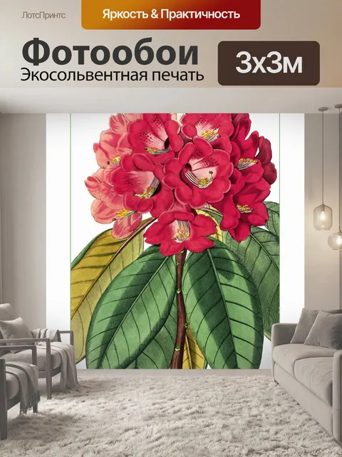 Фотообои Цветок Рододендрон Винтаж Плакат
