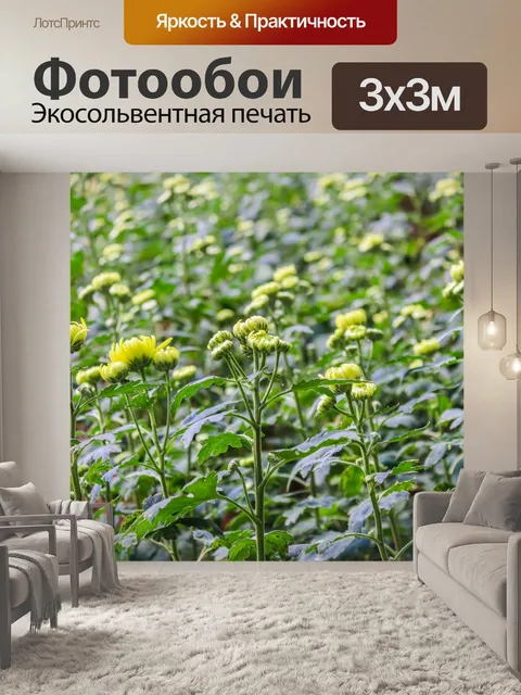 Фотообои Ландшафтный сад, лесной стиль