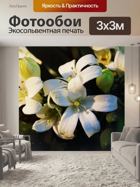 Фотообои белые оранжевые цветы жессамина