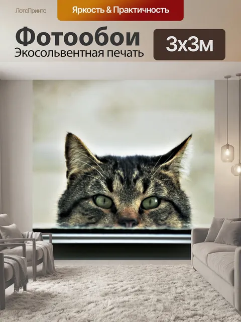 Фотообои Кошачья голова смотрит в окно