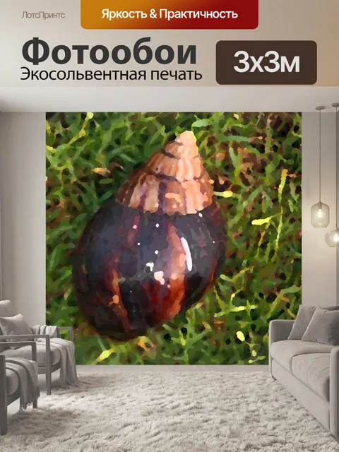 Фотообои большая морская улитка в мастихине