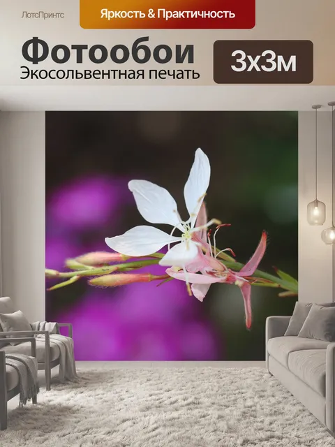 Фотообои Цветок
