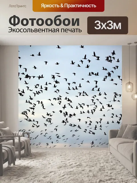 Фотообои Дикие гуси