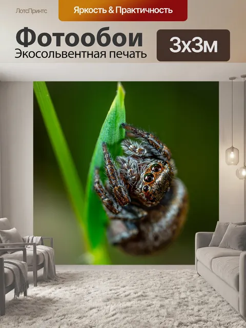 Фотообои Макро