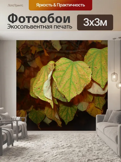 Фотообои Листья