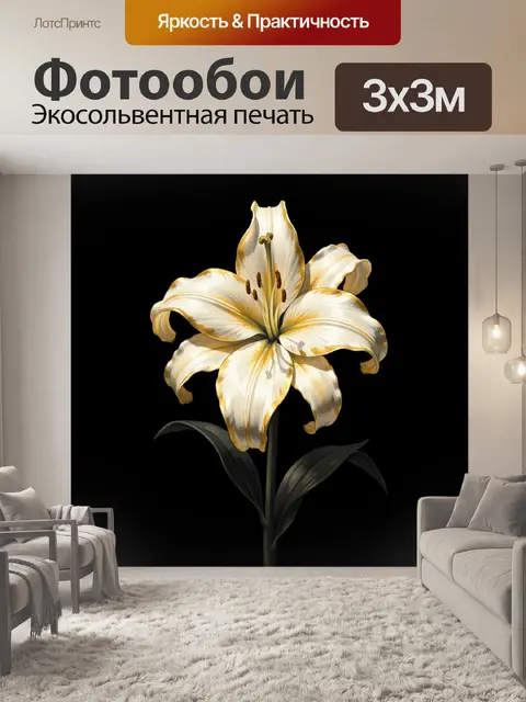 Фотообои Белая лилия на черном фоне