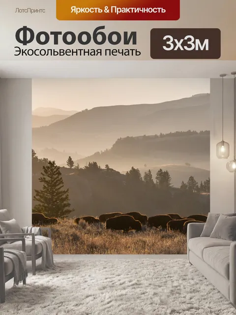 Фотообои буйвол