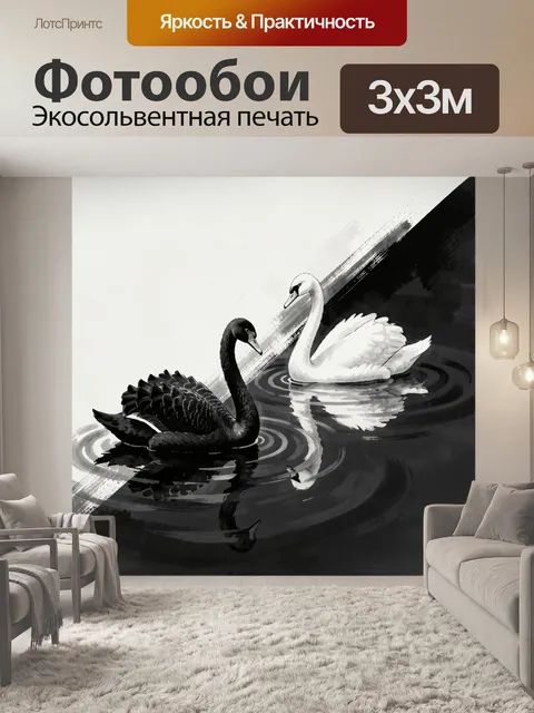 Фотообои Черный и белый лебеди на воде