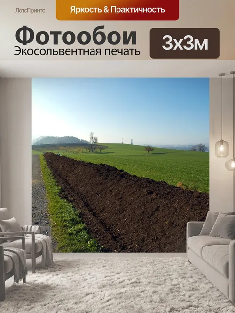 Фотообои Компост