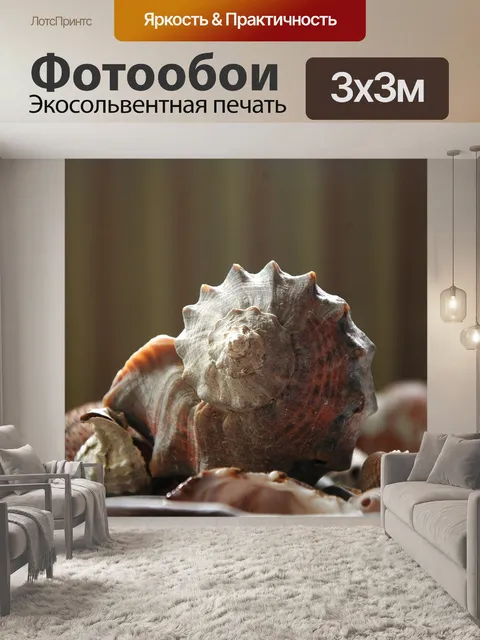 Фотообои Морская ракушка