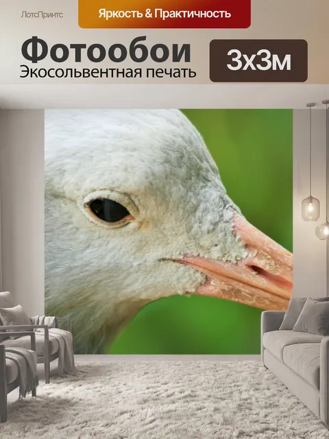 Фотообои Глава голубого крана закрыть